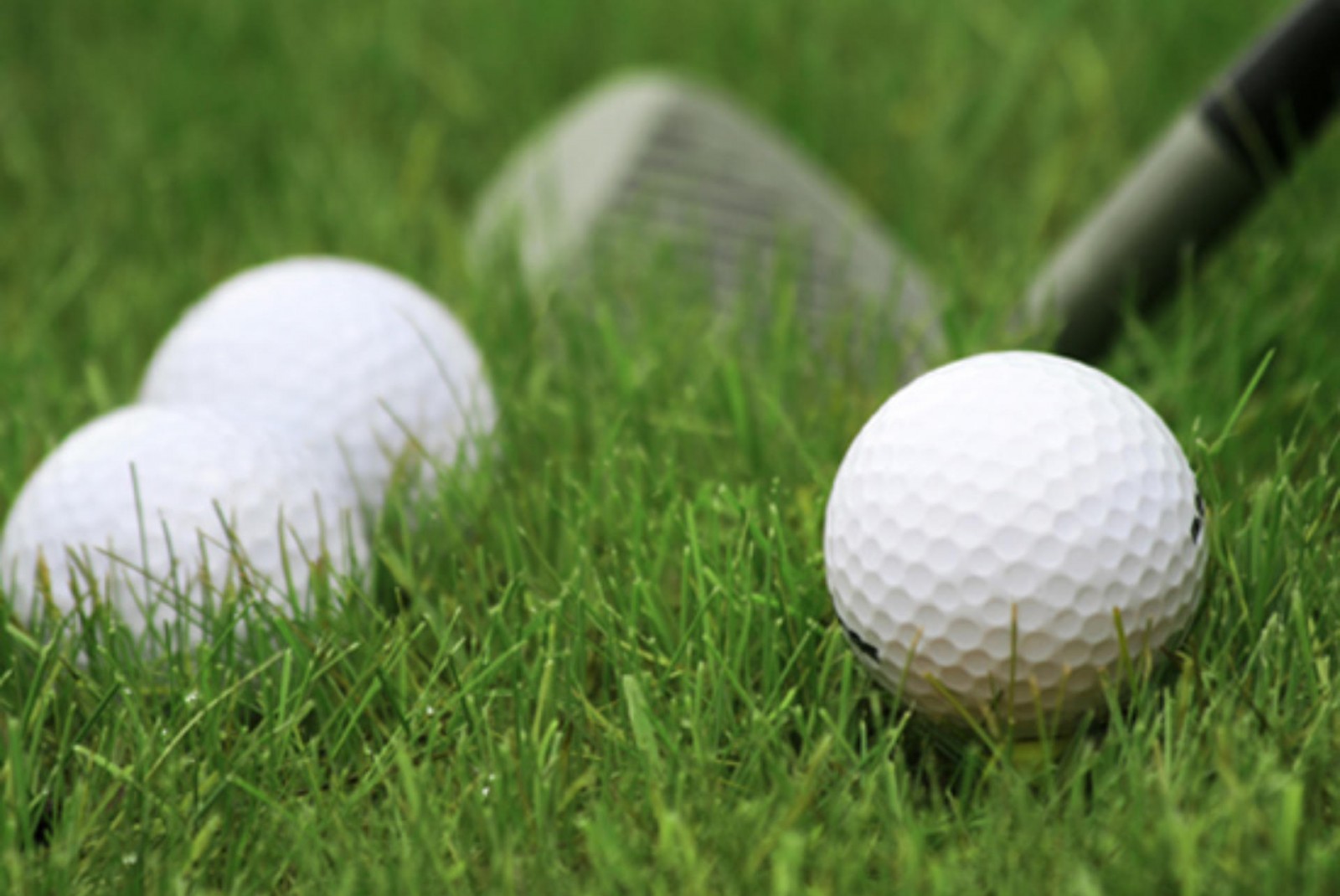 Golfen Hotel Gams Beilngries