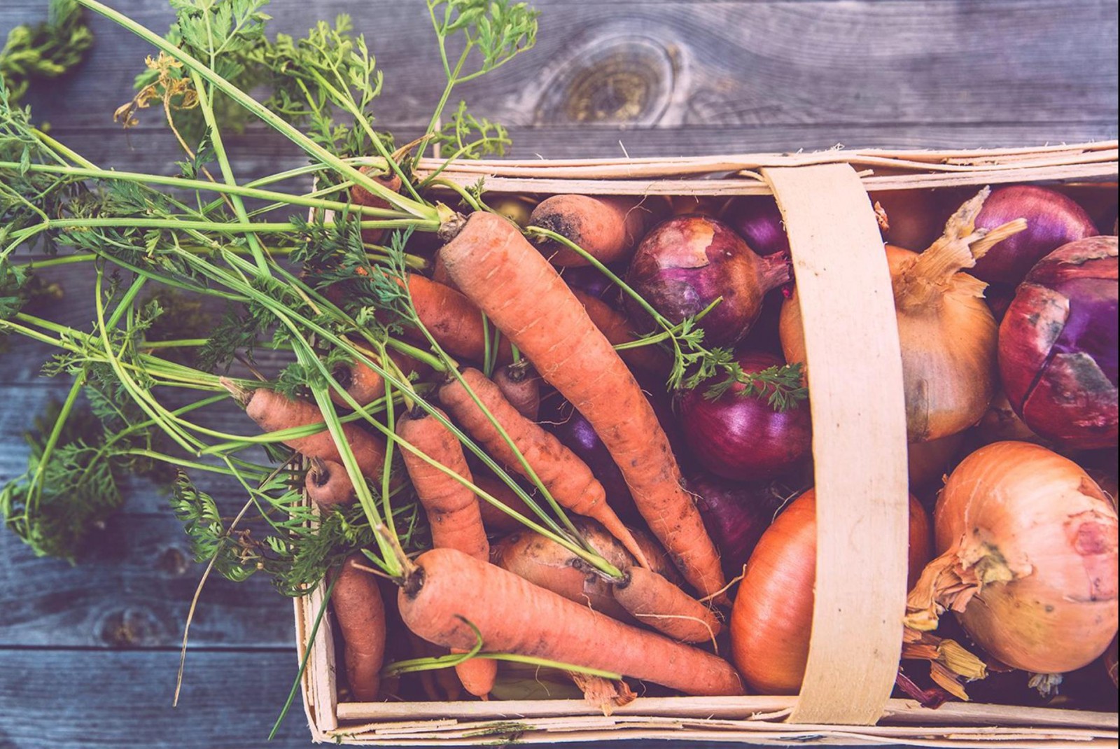 Kiste mit Karotten und Zwiebeln Hotel Gams Beilngries